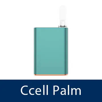 ccell-palm