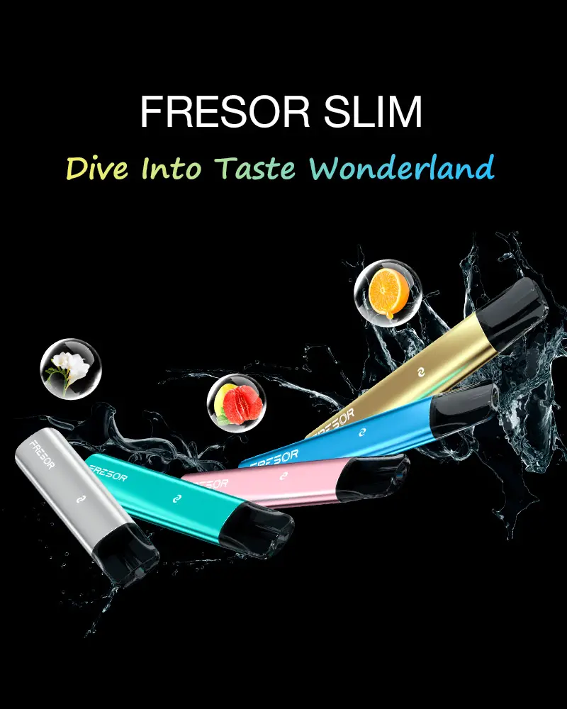 dive into taste wonderland